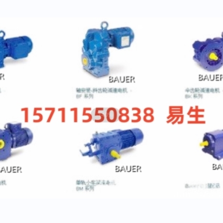 BG06-31 DU05LA8 E003B9HNSP BAUER保尔电机BS06-44V D08MA2 C2-