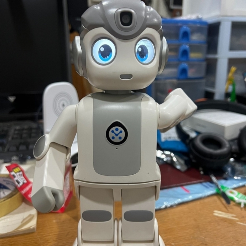 悟空机器人左手臂有问题左眼显示器有瑕疵其他功能正常会