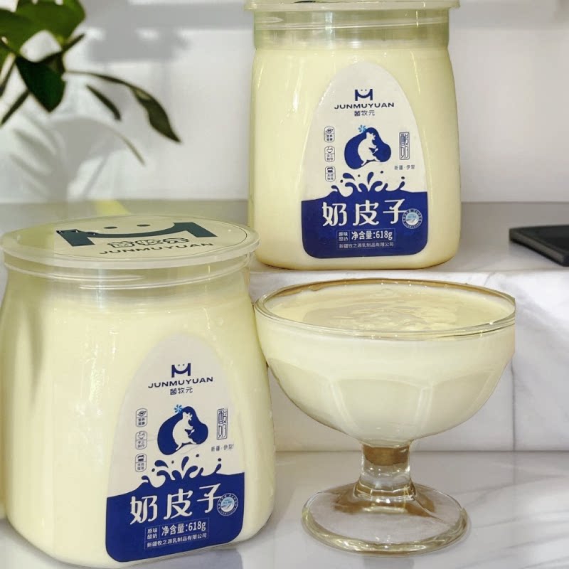 【顺丰空运】包邮新疆特色伊犁菌牧元奶皮子酸奶618g无添加代餐