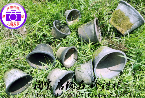 人气珍珠花园花卉陶瓷中等桌面地面田园免邮顺丰盆景花盆微型