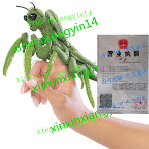 代 Folkmanis Mini Praying Mantis Finger Puppet螳螂捕食手偶