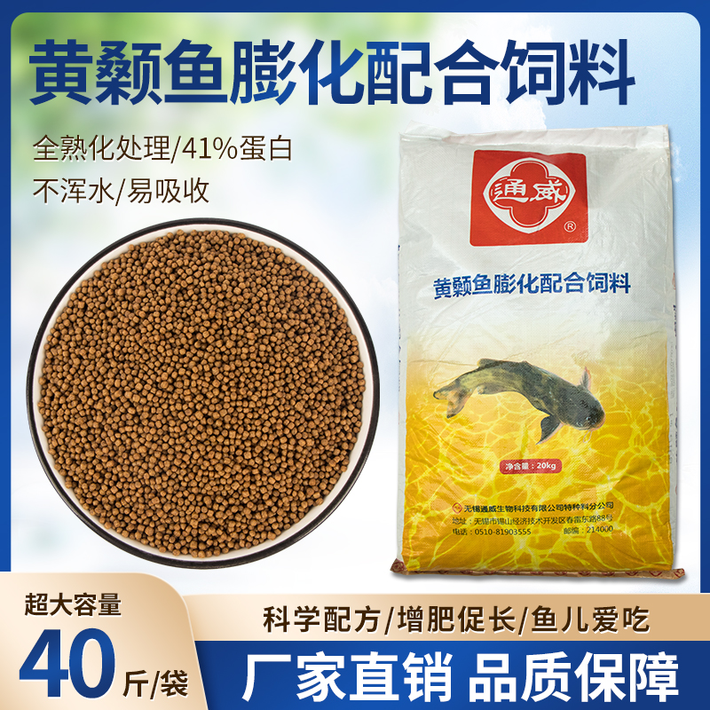 通威高蛋白江苏小型鱼苗高效养殖