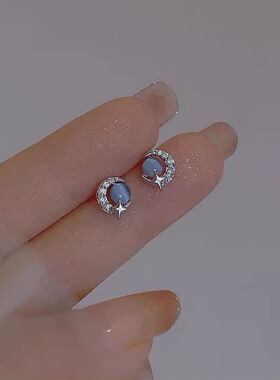 蓝色星球月亮耳钉女精致小巧高级感耳环气质简约日常百搭通勤耳饰