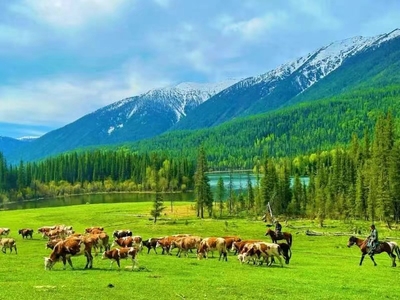 环游新疆专列15日游西疆伊宁那拉提草原薰衣草庄园霍尔果斯口岸博