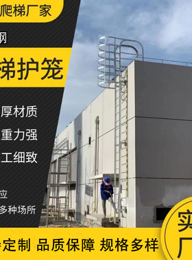 镀锌钢爬梯护笼15j401国标图集女儿墙扶手直爬梯消防铁梯子逃生梯