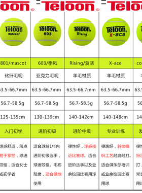 天龙网球801初学进阶级603袋装训练耐磨专业Rising复活比赛X-ACE