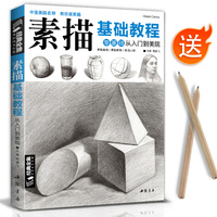 素描基礎(chǔ)入門經(jīng)典全集