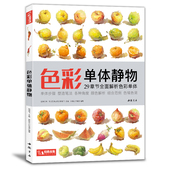 杨建飞主编 色彩单体静物临摹书水粉画入门零基础教程单个范画画册起步联考美院美术高考考试教材 经典 全集