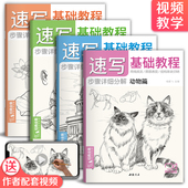 入门实用零基础教材临摹自学书籍 4册速写基础教程植物动物风景人物 杨建飞主编 视频同步教学