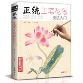 正统工笔花鸟技法入门基础教程书籍中国工笔画稿白描勾线牡丹上色涂色宋画临摹册初自学者名家手绘教材 经典 全集 杨建飞主编