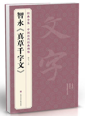 经典全集 智永《真草千字文》楷书字帖中国历代名家碑帖原方法版行书小草书临摹毛笔书法真的墨迹美术正版书籍 杨建飞
