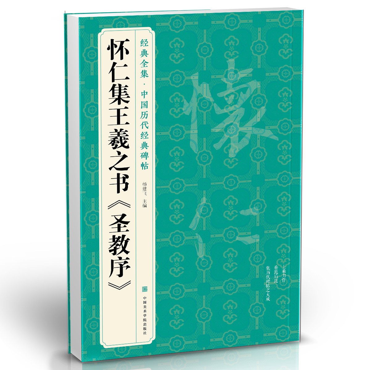 经典全集怀仁集王羲之书《圣教序》行书字帖中国历代经典碑帖临摹范本书法小楷书籍草书描红放大教程练字入门集字杨建飞主编