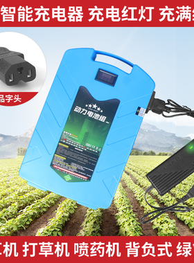 24V48V水泵机大容量锂电池21V2A3A4A5A6A7A8A10A割草机绿篱抽水机