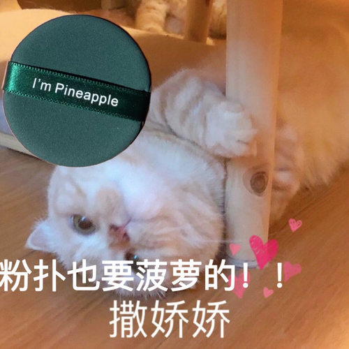 关注12妖制蛋黄派菠萝派不吃粉