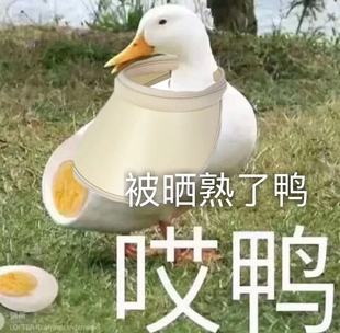 赵露思同款！zauo空顶防晒帽遮阳帽户外无痕太阳帽女士 有防伪