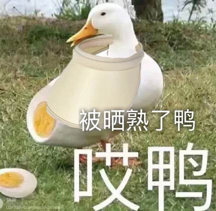 赵露思同款！zauo空顶防晒帽遮阳帽户外无痕太阳帽女士 有防伪