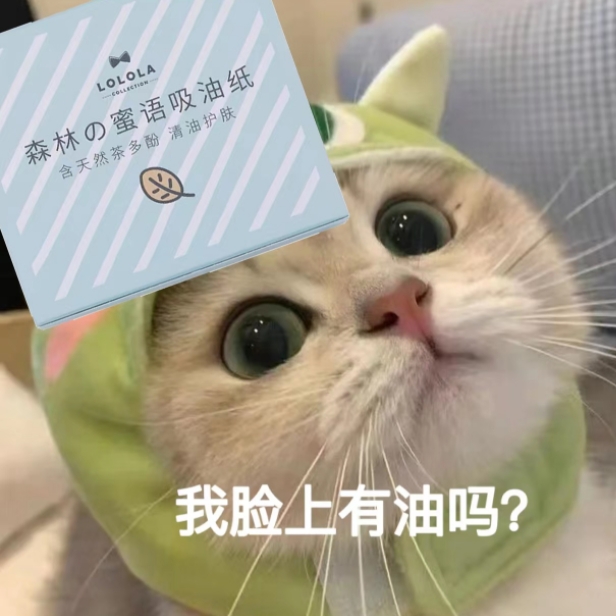 夏日控油LOLOLA萝萝拉吸油纸面部脸部女不吸水补妆粉扑带镜子替换