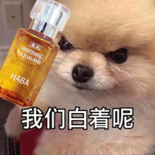 我们白着呢！日版HABA角鲨烷油镁白油 精华提亮敏感修复
