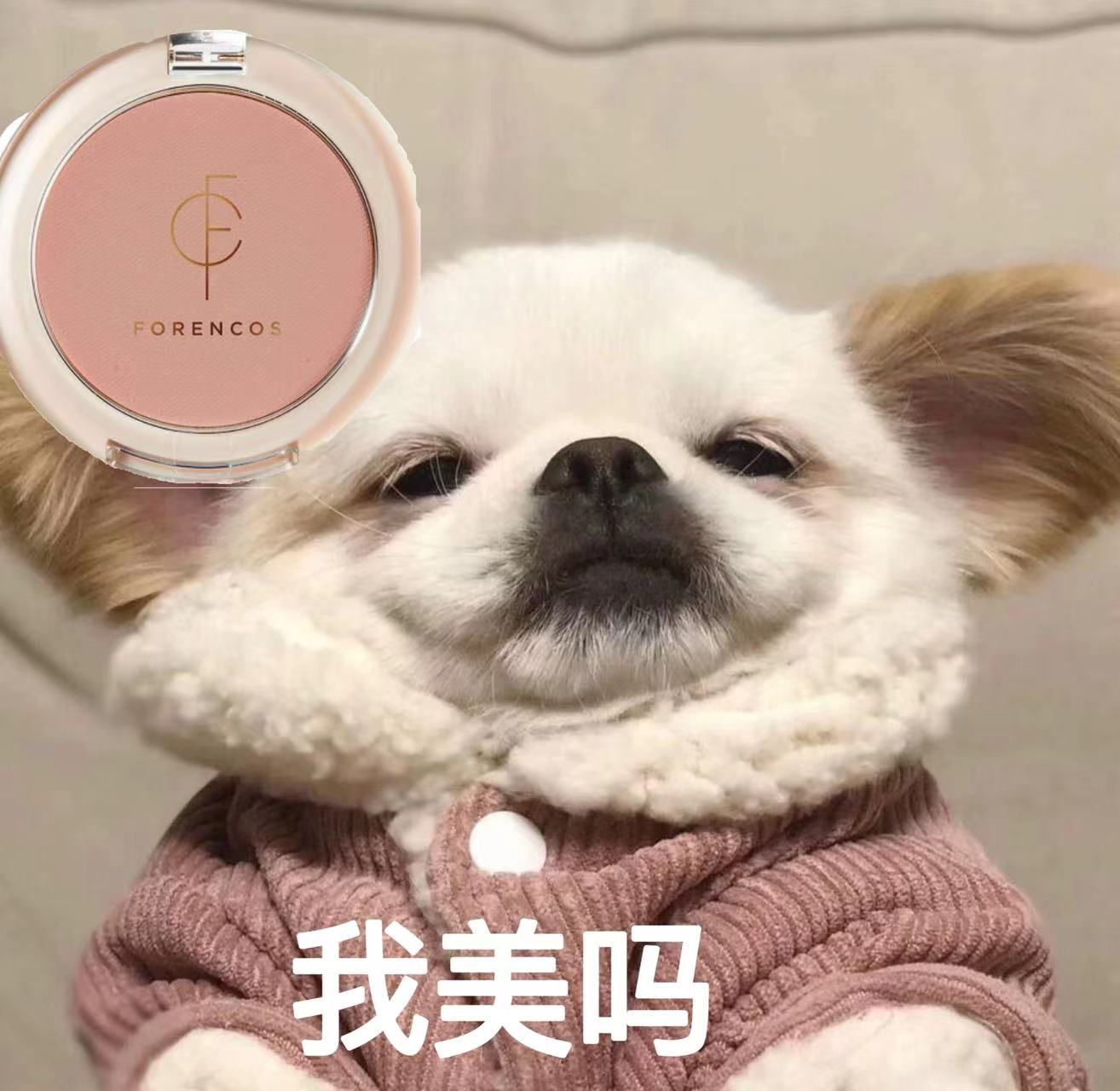 送蘑菇刷！forencos单色腮红5g裸妆自然显白茶艺素颜韩系软妹小众