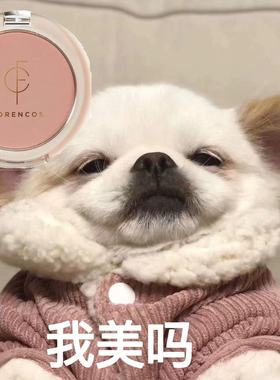 送蘑菇刷！forencos单色腮红5g裸妆自然显白茶艺素颜韩系软妹小众