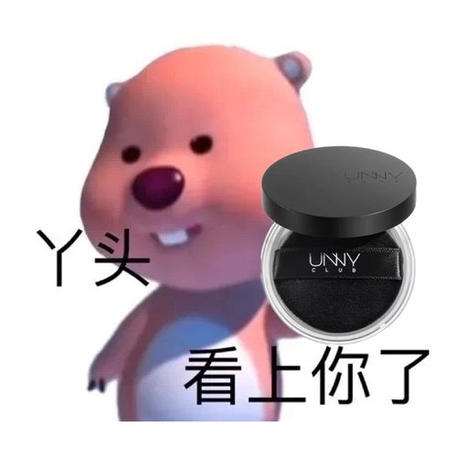 unny散粉定妆粉清爽控油