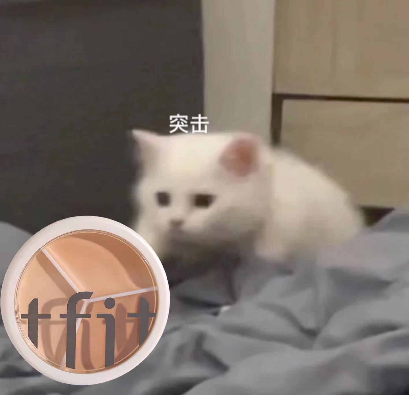 tfit遮暇膏遮瑕膏笔液盘