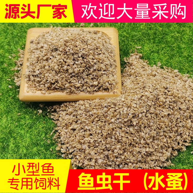 水蚤虫子锦鲤红箭小型鱼饲料