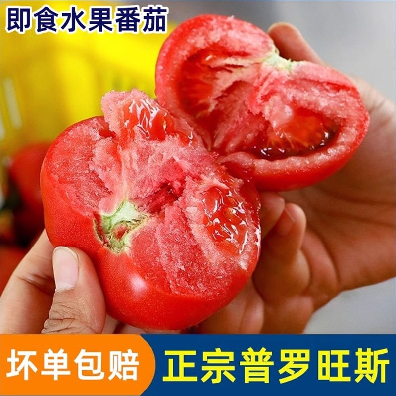 陕西新鲜水果西红柿自然熟正宗农家普罗旺斯生吃番茄冰沙红现摘