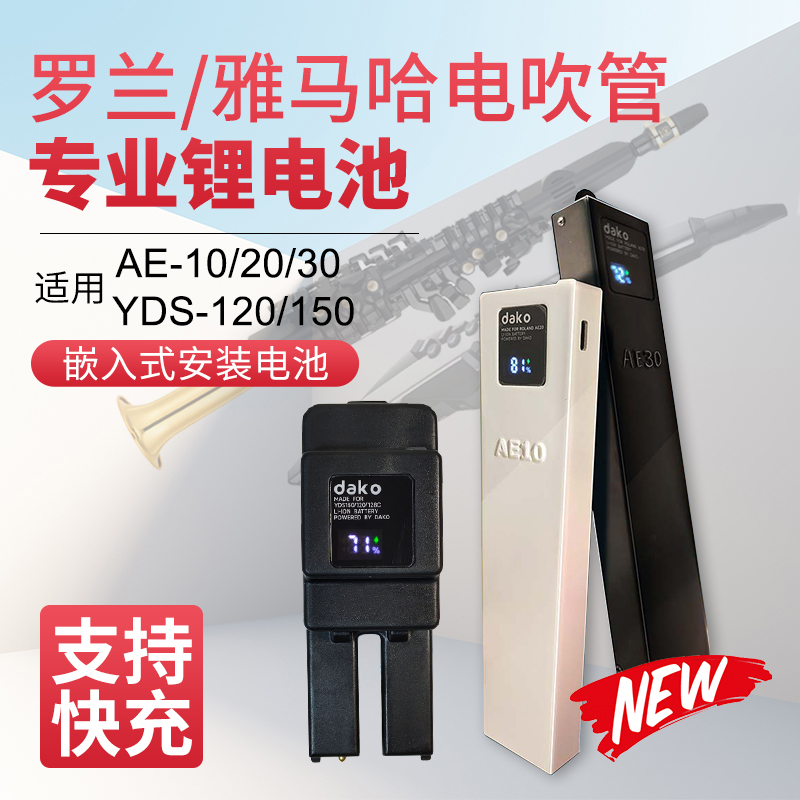 YDS120雅马哈yds150锂电池罗兰AE20电吹管ae30专用嵌入式供电套装