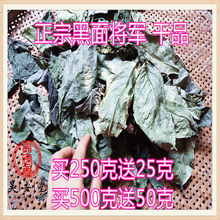 昊安堂马来西亚黑面将军草脆叶马兰干叶强效版 不输青钱柳罗布麻