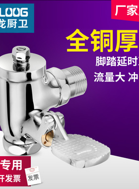 时龙 全铜 角式大便冲洗阀 手柄式或脚踏式冲水阀 冲水伐 CL07