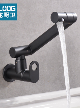 德国时龙黑色入墙单冷拖把池水龙头厨房洗菜盆面盆水龙冰家用旋转