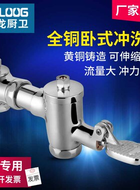 时龙延时可绅缩脚踏卧式冲洗阀大便冲水阀脚踩蹲便器延时阀 CL021