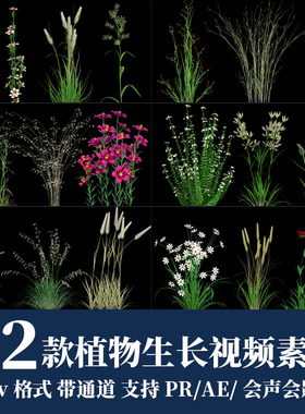 pr/ae/fcpx视频素材绿色植物自然生长开花效果动画mov带透明通道