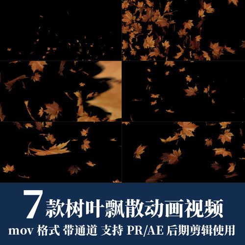 pr视频素材秋季树叶飘散落叶转场mov动画alpha透明通道ae剪辑合成