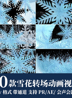 pr/ae视频素材漂亮雪花冰花粒子mov过渡转场动画alpha透明通道