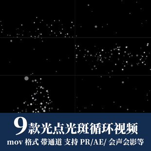 pr/ae视频素材光点光斑粒子闪烁飘浮可循环mov动画alpha透明通道