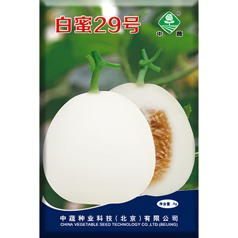中蔬中国农科院种子白皮白肉白糖罐白沙蜜香瓜籽白蜜29西瓜种子