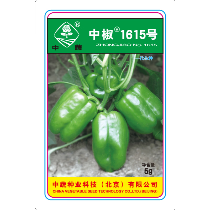 中蔬中国农科院种子农场基地种植蔬菜种子菜籽中椒1615号甜椒种子
