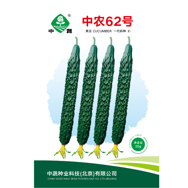 中蔬中国农科院蔬菜种子基地农场种植四季黄瓜籽中农62号黄瓜种子