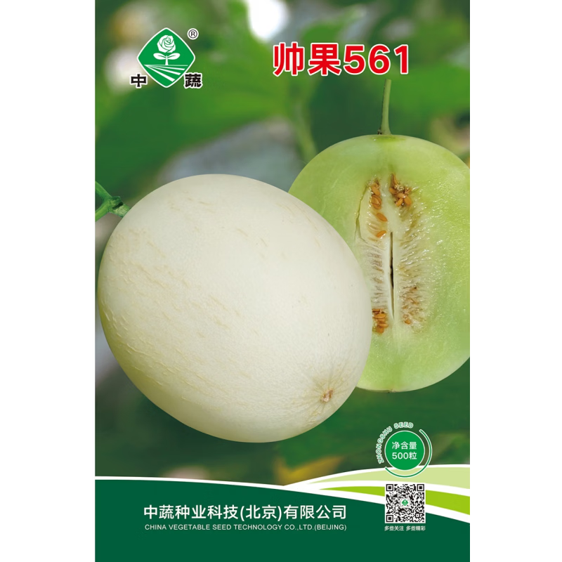 中蔬中国农科院种子绿皮绿肉香瓜种籽采摘园帅果561甜瓜种子