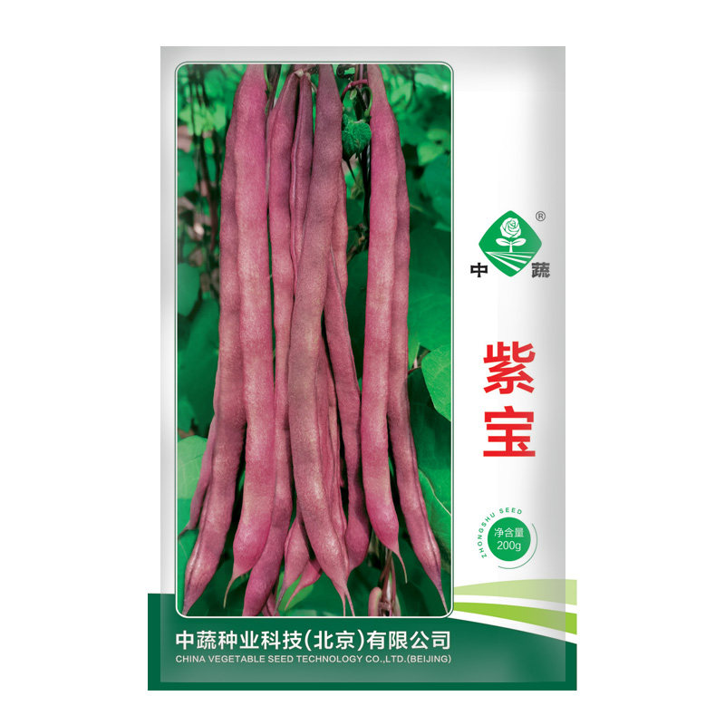 中国农科院紫宝菜豆种子紫色四季豆种籽四季芸豆豆角蔬菜种孑,鲜花速递/花卉仿真/绿植园艺,家庭园艺种子,淘宝优惠券,粉丝福利购,淘宝优惠卷