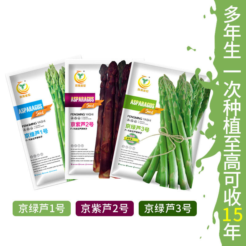 京绿3号芦种子四季紫2号阳台种植种籽芦笋苗根蔬菜种孑室内