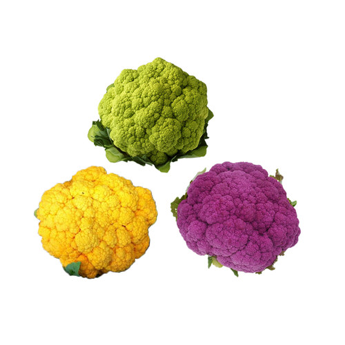 花椰菜彩色花菜种籽春秋