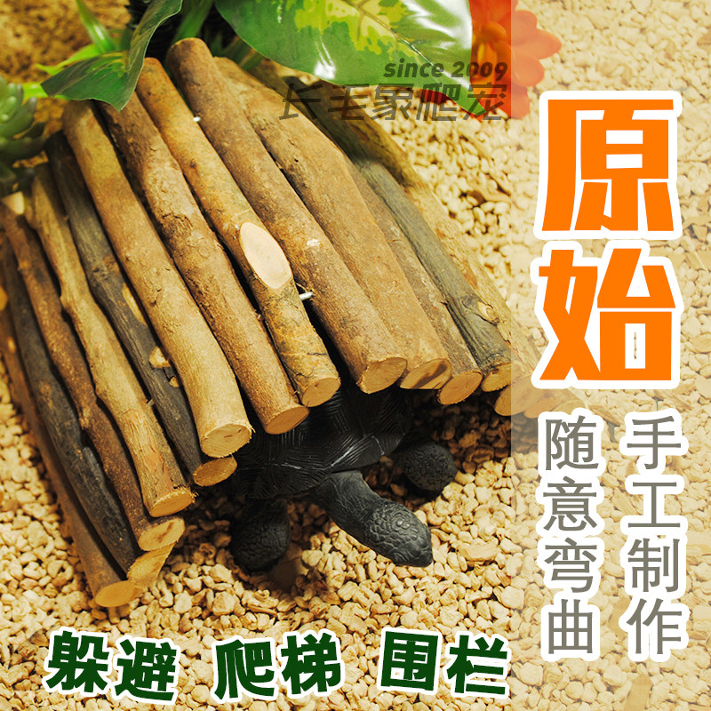 天然实木棍爬虫陆龟蜥蜴