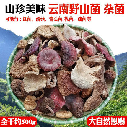 野生菌干货蘑菇干杂菌菇云南特产野山菌红菇青头菌组合农家干菌子