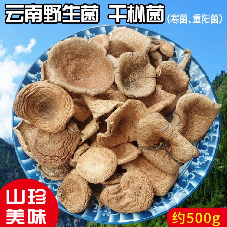 寒菌野生菌云南土特产谷熟菌干杂菌干货野山菌子干菇类大全乌枞菌-封面