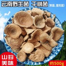 寒菌野生菌云南土特产谷熟菌干杂菌干货野山菌子干菇类大全乌枞菌