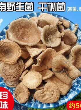 寒菌野生菌云南土特产谷熟菌干杂菌干货野山菌子干菇类大全乌枞菌