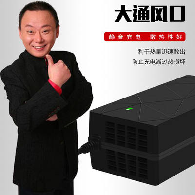 龙源泉电动车充电器48V12AH60V20AH爱玛雅迪台铃铅酸电瓶车通用款